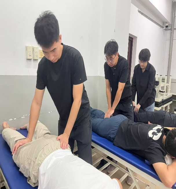 实践活动